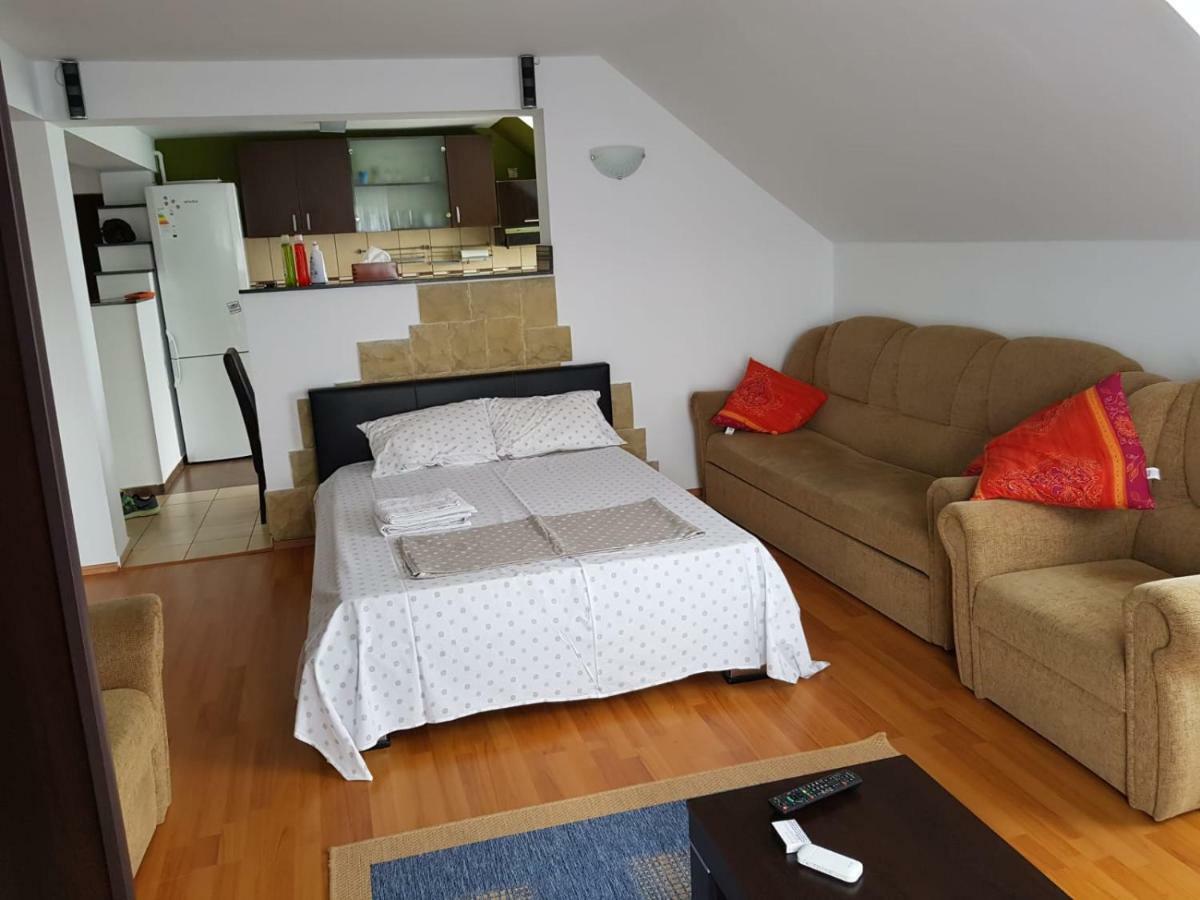 Penthouse Apartament 2 Floors, 2 Bedroom , 2 Bath, 120 Sqm , Inside Yard Parking Cluj-Napoca Luaran gambar